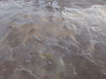2015-02-03_07-47-43_S0289067.jpg
