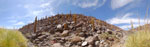 2015-02-03_11-39-51_S0702180-pan.jpg