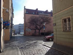 2015-03-08_10-09-31_IMGP8153.jpg