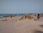 Photos
