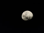 2015-03-31_18-49-28_S0289085.jpg