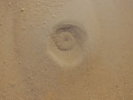 2015-04-01_17-21-09_S0290032.jpg