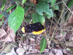 2015-05-21_11-52-34_DSCF8691.jpg