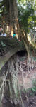 2015-06-20_17-04-20_DSCF9472-pan.jpg