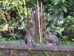 2015-06-20_17-18-50_DSCF9516.jpg