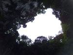 2015-07-21_17-23-51_DSCF0688.jpg