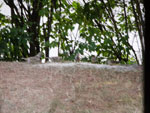 2015-08-10_17-36-04_DSCF1750.jpg