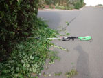Photos