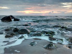 Photos