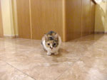 Photos