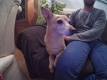 Photos