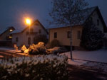 Photos