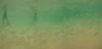 2015-12-17_14-22-34_C1822889-pan.jpg