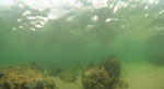 2015-12-17_15-36-35_C1962990-pan.jpg