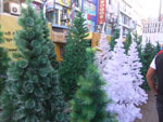 2015-12-20_16-33-07_DSCF5537.jpg
