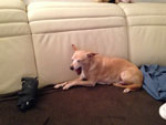 Photos