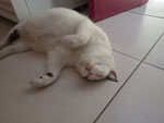 Photos