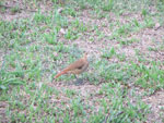 2016-02-24_18-24-52_DSCF6711.jpg