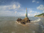 Photos