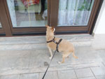 Photos