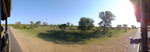 2016-04-12_08-00-00_S0877203-pan.jpg