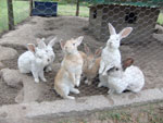 Photos