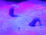 2016-04-27_15-47-51_S0452137.jpg