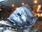 Photos