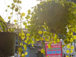 2016-05-05_17-19-02_S0996201.jpg