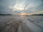 Photos