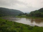 Photos