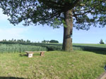 2016-06-07_18-46-13_DSCF1185.jpg