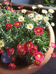 2016-06-23_20-07-52_DSCF1510.jpg