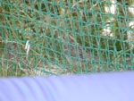 2016-07-16_16-47-59_DSCF1097.jpg