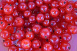 2016-07-19_20-44-03_DSC_0473.jpg
