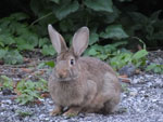 Photos