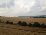 Photos