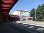 Photos