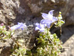 2016-09-26_13-03-34_DSCF6079.jpg