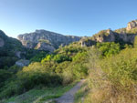 Photos