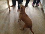 Photos