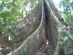 2016-10-20_10-51-24_2008-01-01_00-00-35_YDXJ0420.jpg