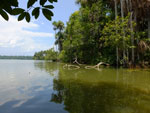 Photos