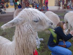 Photos