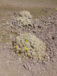 2016-10-25_08-58-37_S0854144.jpg
