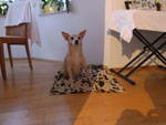 Photos