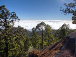 2016-12-16_15-55-17_DSCF4276-hdr.jpg