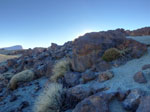 2016-12-16_17-21-54_DSCF5041-hdr.jpg