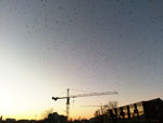 2016-12-30_16-07-24_2016-12-30-16.07.24.jpg