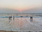 Photos